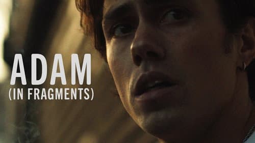 Adam in Fragments still