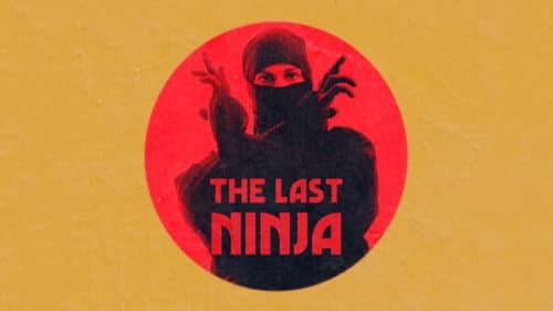 The Last Ninja still