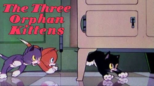 Three Orphan Kittens still