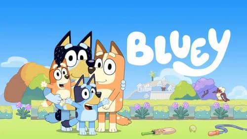 Bluey still