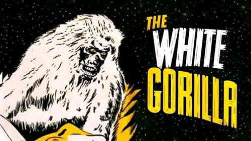 The White Gorilla still