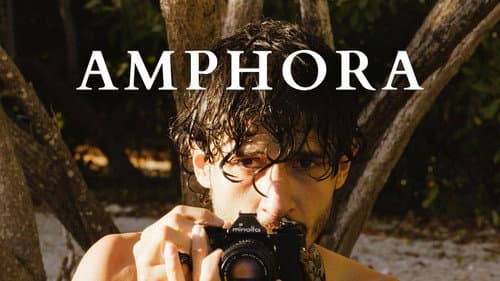 Amphora still