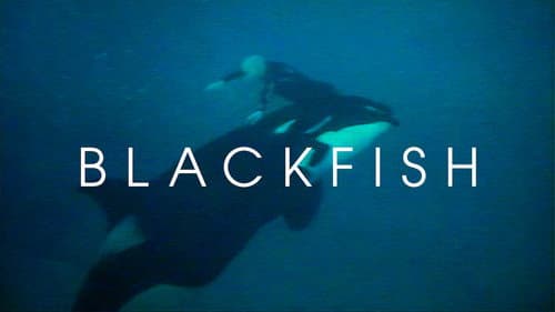 Blackfish still