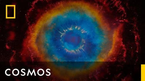 Cosmos still