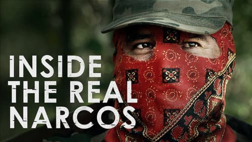 Meet the Drug Lords: Inside the Real Narcos still