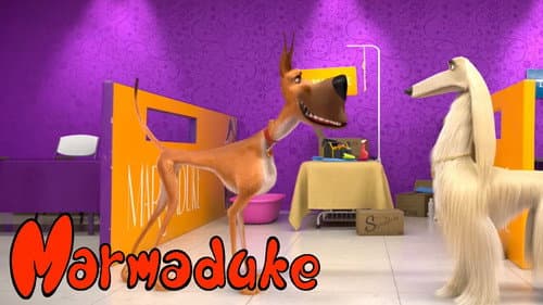 Marmaduke still
