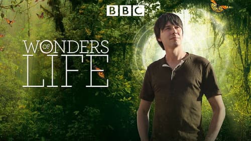 Wonders of Life still
