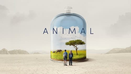 Animal still
