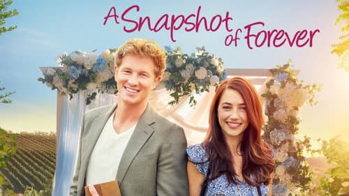A Snapshot of Forever still