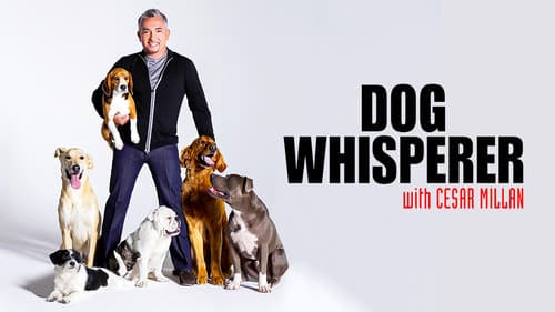 Dog Whisperer still
