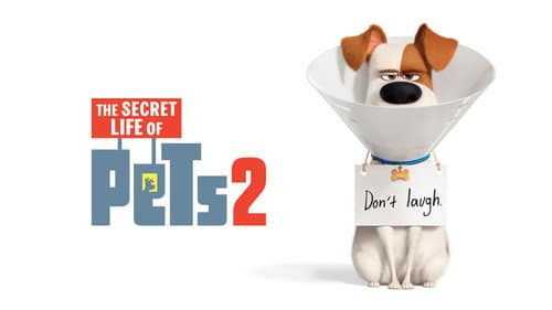 The Secret Life of Pets 2 still