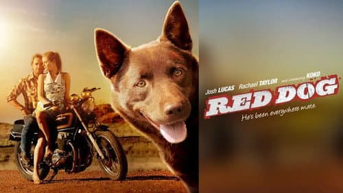 Red Dog still