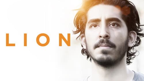Lion still