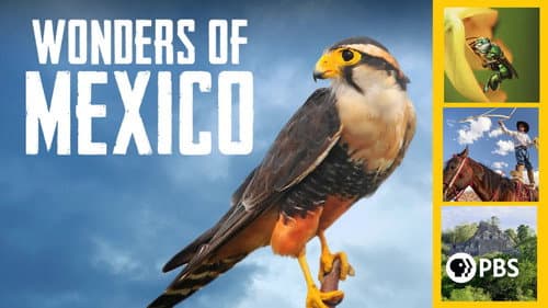 Mexico: Earth's Festival of Life still
