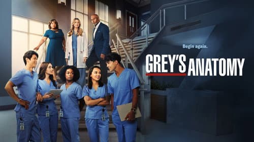Grey's Anatomy still