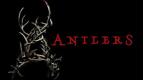 Antlers still