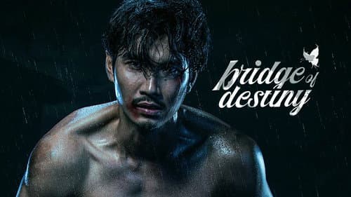Bridge of Destiny still