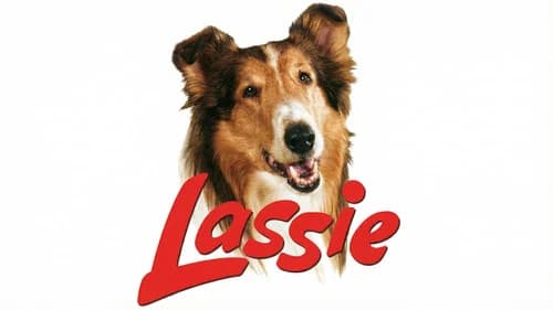 Lassie, the Voyager still