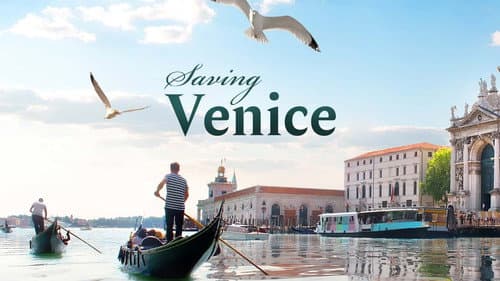 Saving Venice still