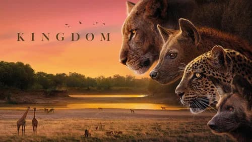 Kingdom still