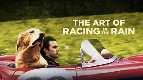 The Art of Racing in the Rain still