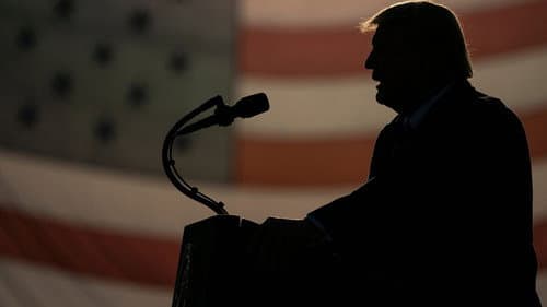 The Trump Show still