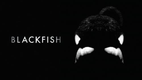 Blackfish still