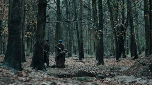 The Last Witness still
