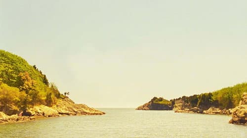 Moonrise Kingdom still