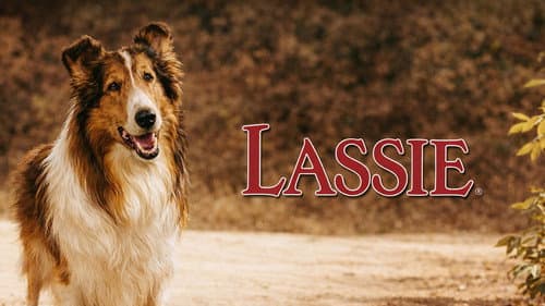 Lassie: Disappearance still