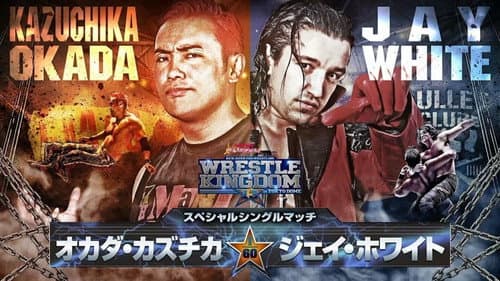 NJPW Wrestle Kingdom 13 still