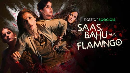 Saas, Bahu Aur Flamingo still