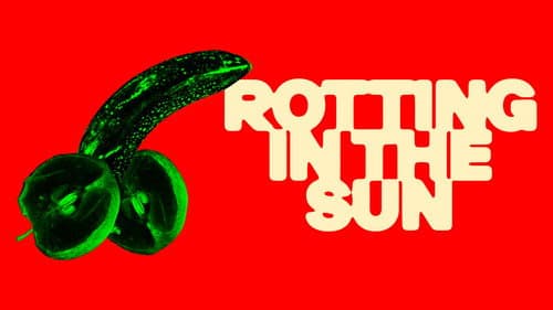 Rotting in the Sun still