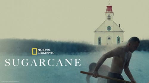 Sugarcane still