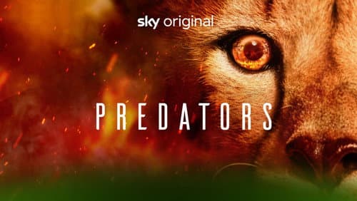 Predators still