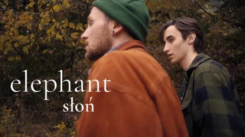 Elephant still