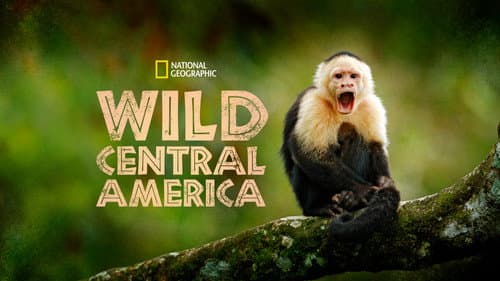 Wild Central America still