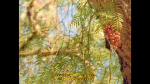 The Secret Garden still