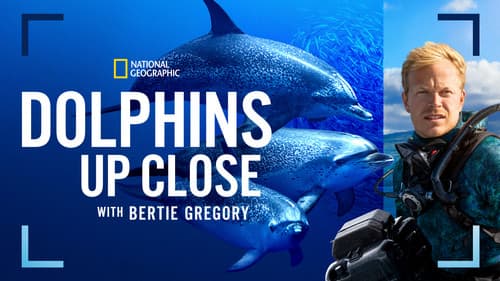Dolphins Up Close with Bertie Gregory still