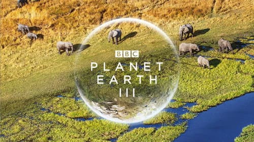 Planet Earth III still