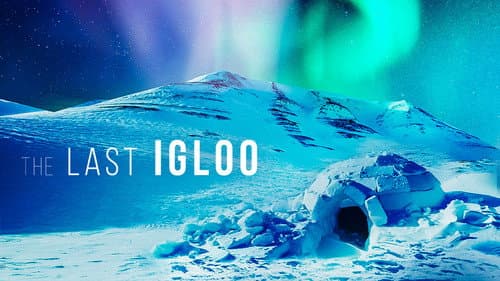 The Last Igloo still