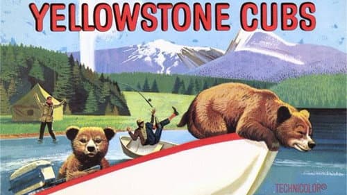 Yellowstone Cubs still