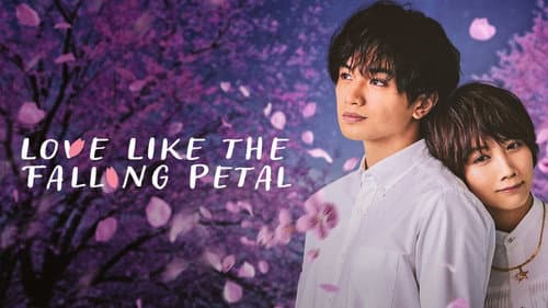 Love Like the Falling Petals still