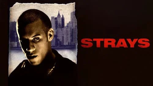 Strays still