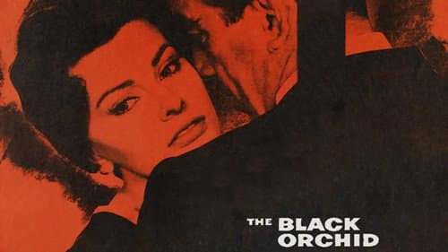 The Black Orchid still