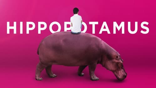 The Hippopotamus still