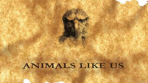 Animals Like Us still