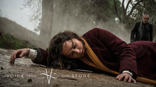 Voice from the Stone still