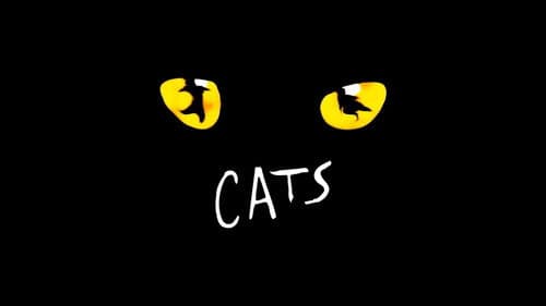 Cats still