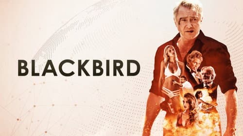 Blackbird still